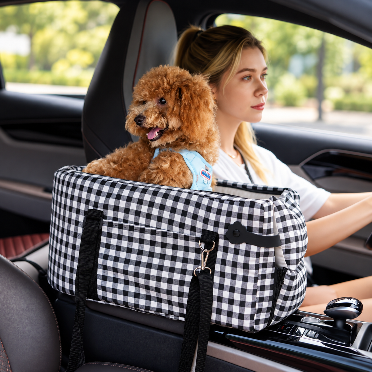 Apricot toy poodle sitting in a gingham console dog car seat