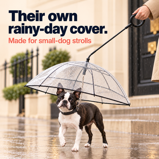 Clear dog umbrella leash with C-shaped handle and attached chain leash for small dogs