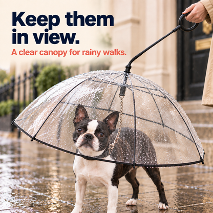 Small dog staying dry under a transparent pet umbrella on a rainy walk